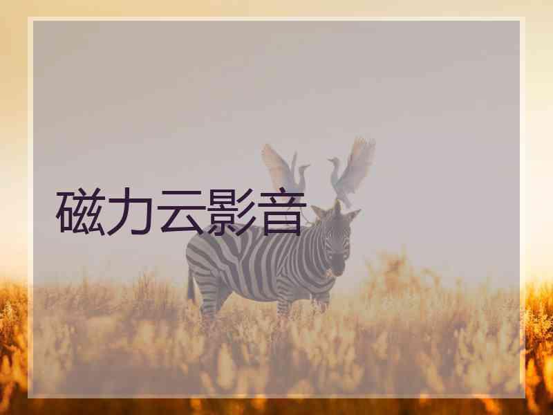 磁力云影音