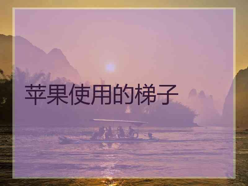 苹果使用的梯子