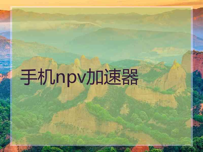 手机npv加速器