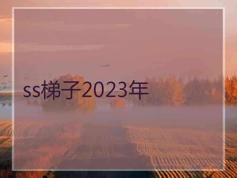 ss梯子2023年