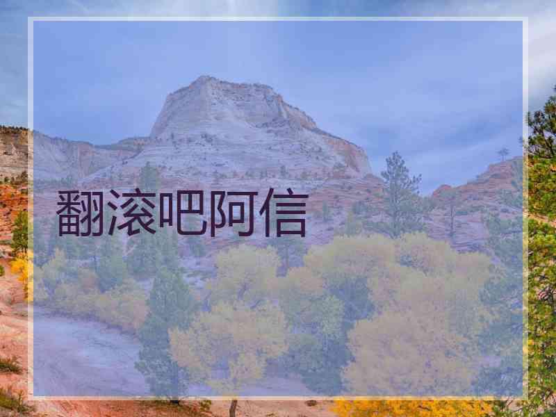 翻滚吧阿信