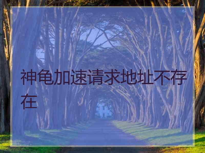 神龟加速请求地址不存在