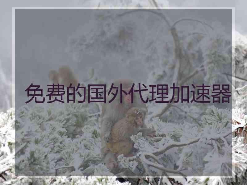 免费的国外代理加速器