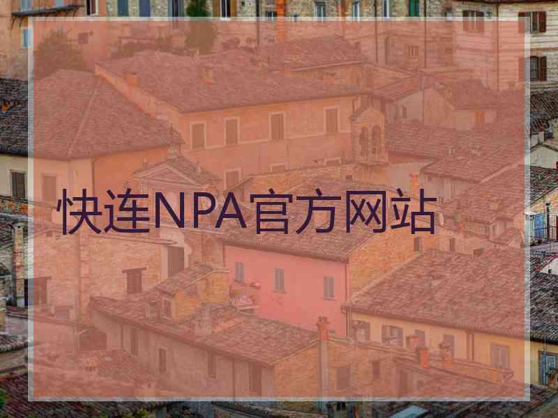 快连NPA官方网站