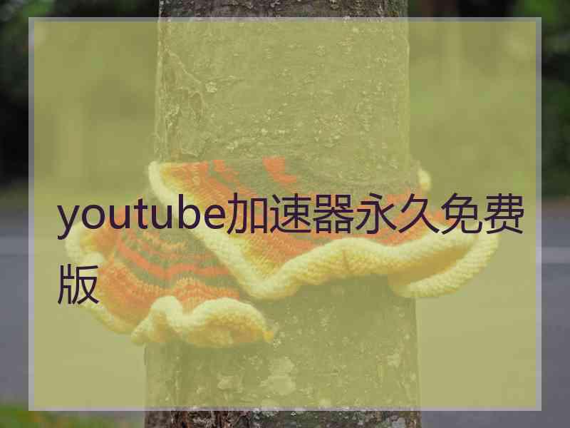 youtube加速器永久免费版