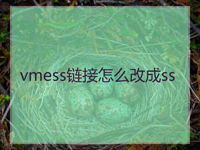 vmess链接怎么改成ss