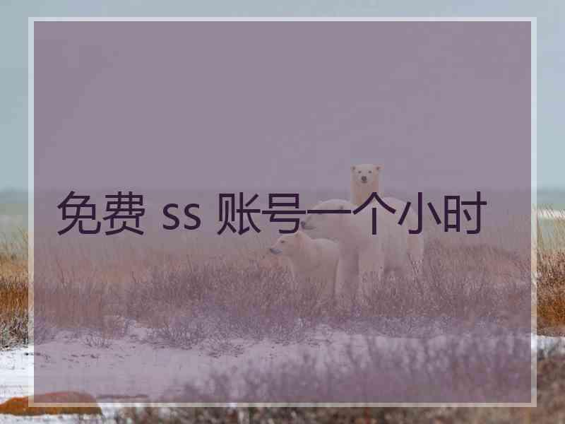 免费 ss 账号一个小时
