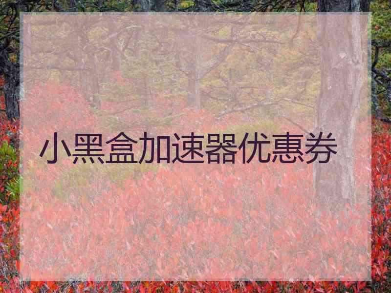 小黑盒加速器优惠券