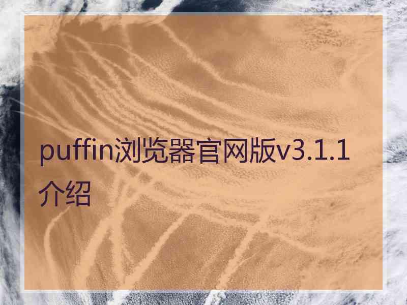 puffin浏览器官网版v3.1.1介绍