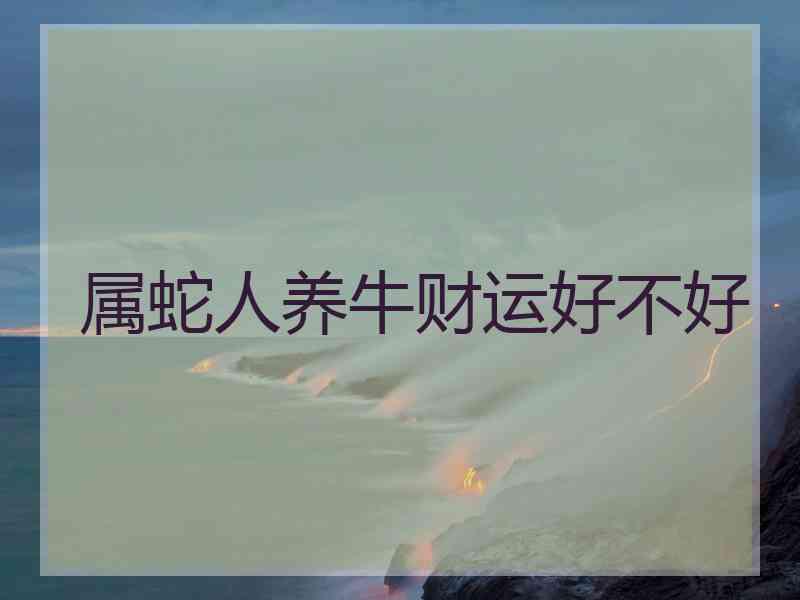 属蛇人养牛财运好不好
