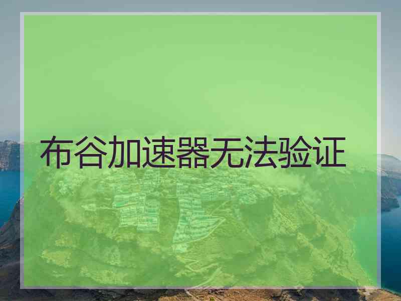 布谷加速器无法验证