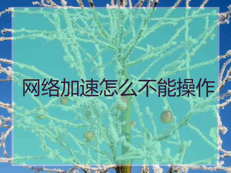 网络加速怎么不能操作