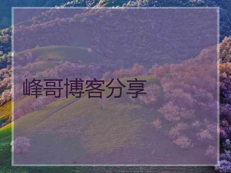 峰哥博客分享