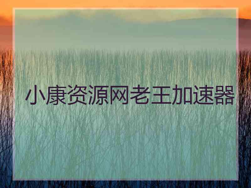 小康资源网老王加速器