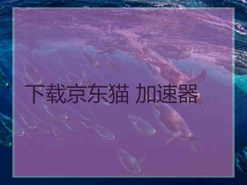 下载京东猫 加速器