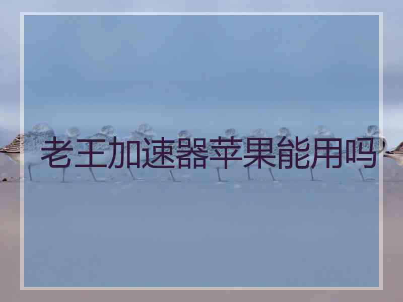 老王加速器苹果能用吗