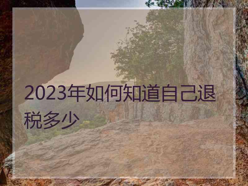 2023年如何知道自己退税多少