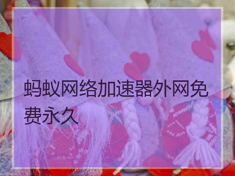 蚂蚁网络加速器外网免费永久