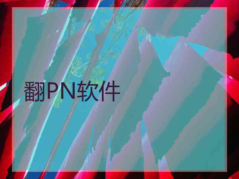 翻PN软件