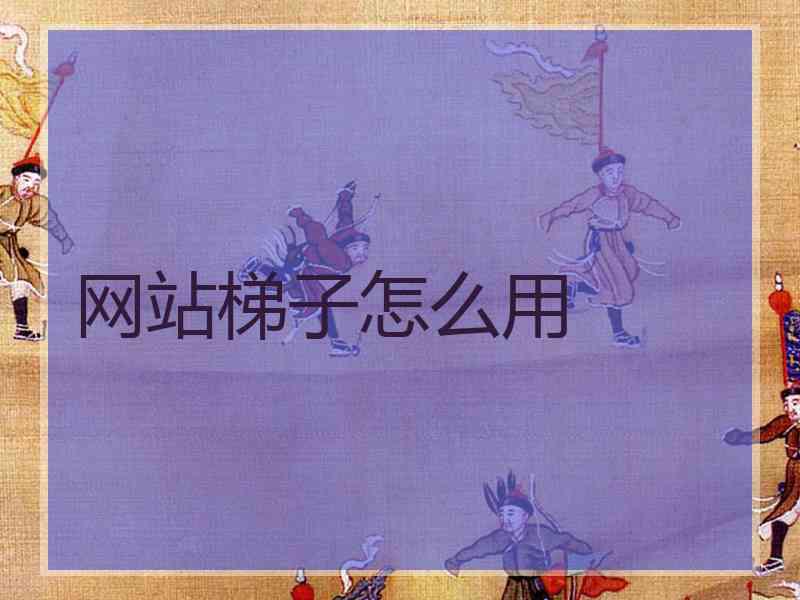 网站梯子怎么用