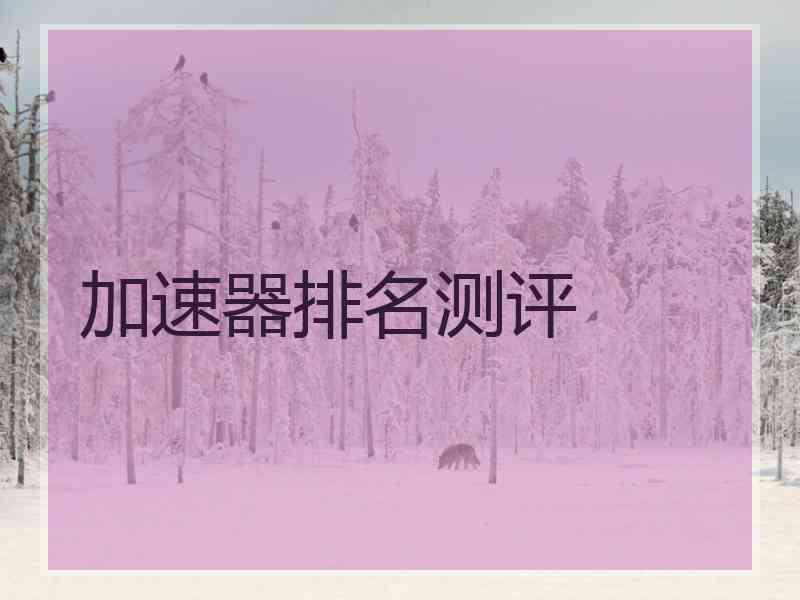 加速器排名测评