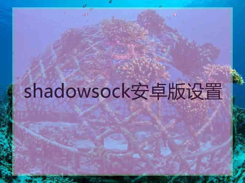 shadowsock安卓版设置