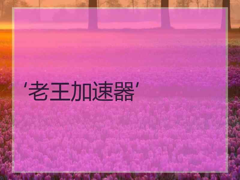 ‘老王加速器’