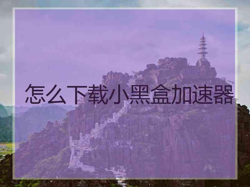 怎么下载小黑盒加速器