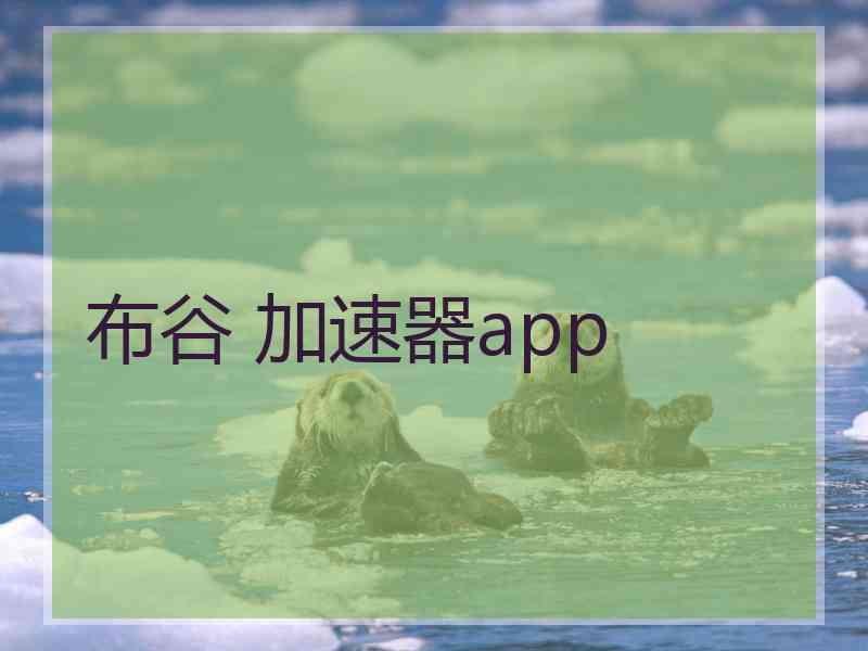 布谷 加速器app