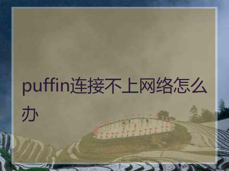 puffin连接不上网络怎么办