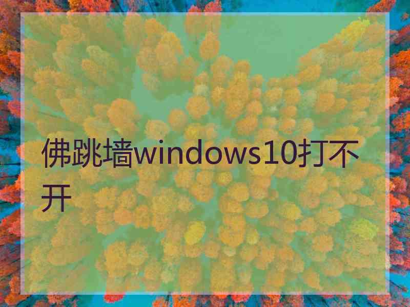 佛跳墙windows10打不开