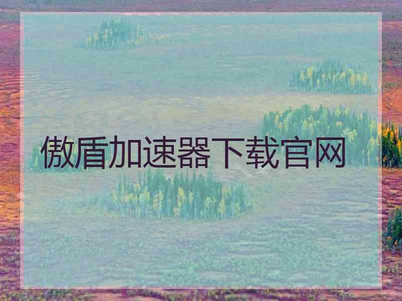 傲盾加速器下载官网