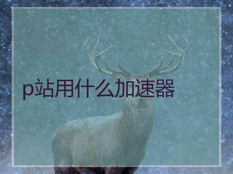 p站用什么加速器