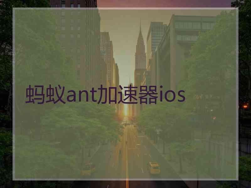 蚂蚁ant加速器ios