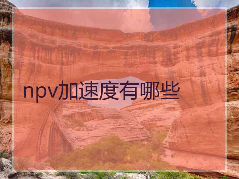 npv加速度有哪些
