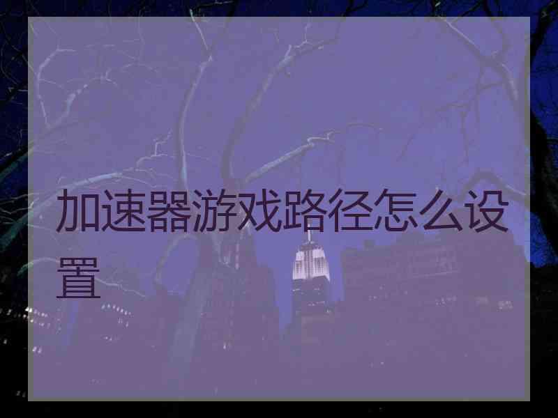 加速器游戏路径怎么设置