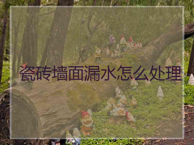 瓷砖墙面漏水怎么处理
