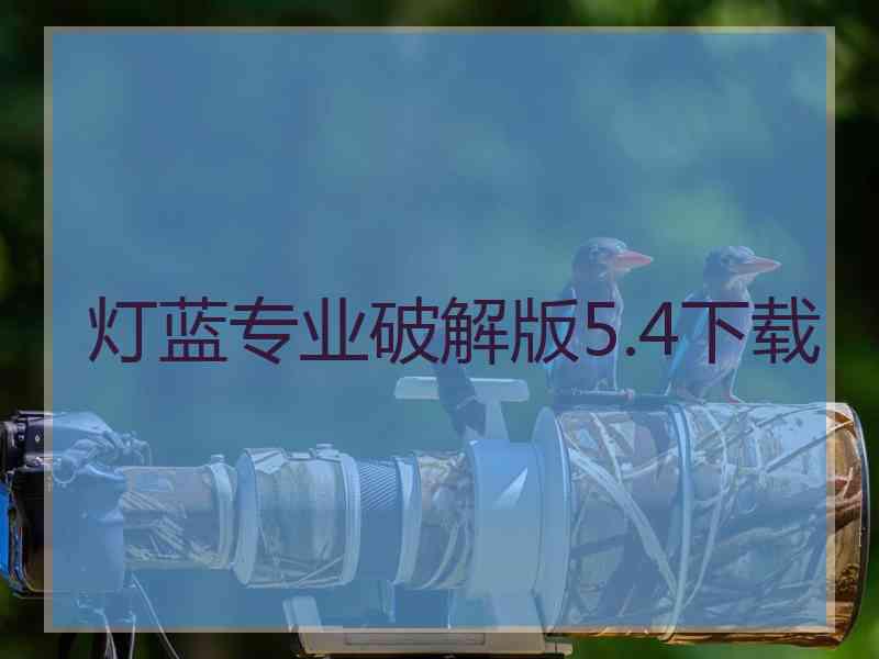 灯蓝专业破解版5.4下载