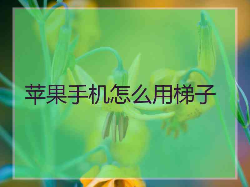 苹果手机怎么用梯子