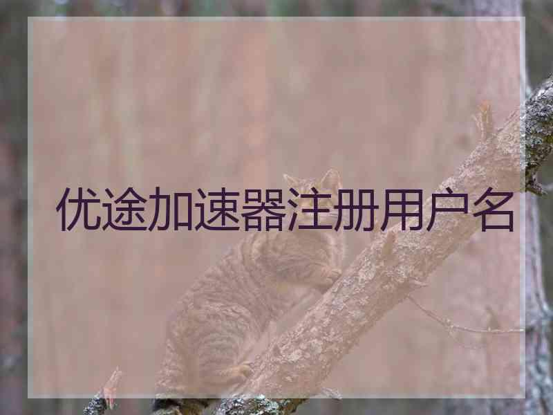 优途加速器注册用户名