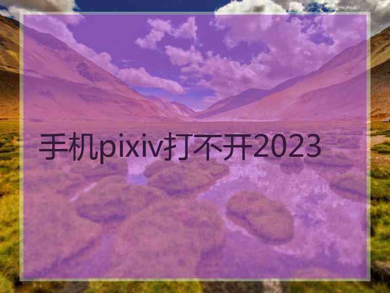 手机pixiv打不开2023