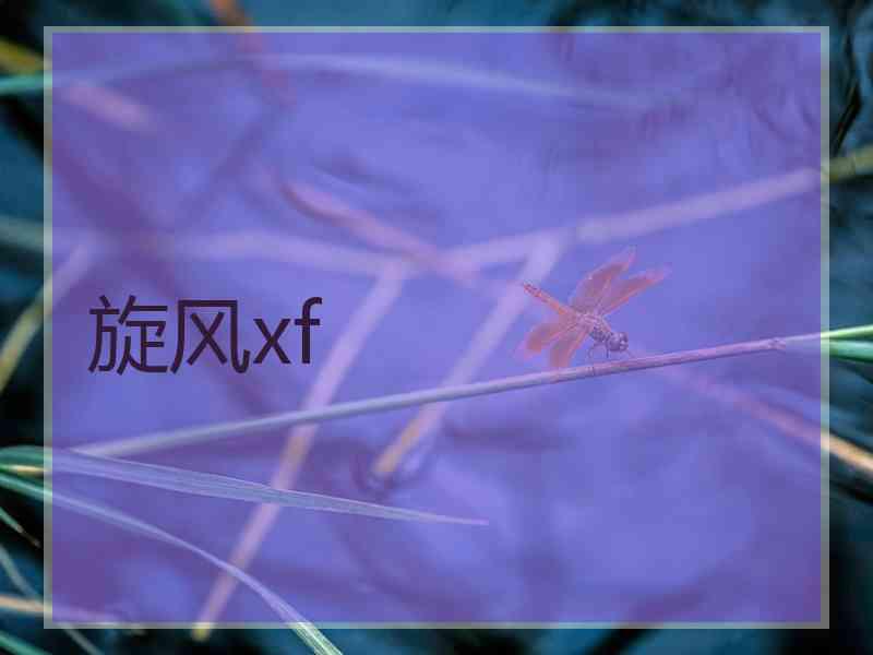 旋风xf