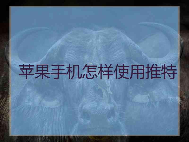 苹果手机怎样使用推特