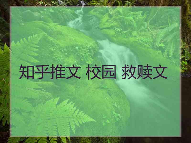 知乎推文 校园 救赎文