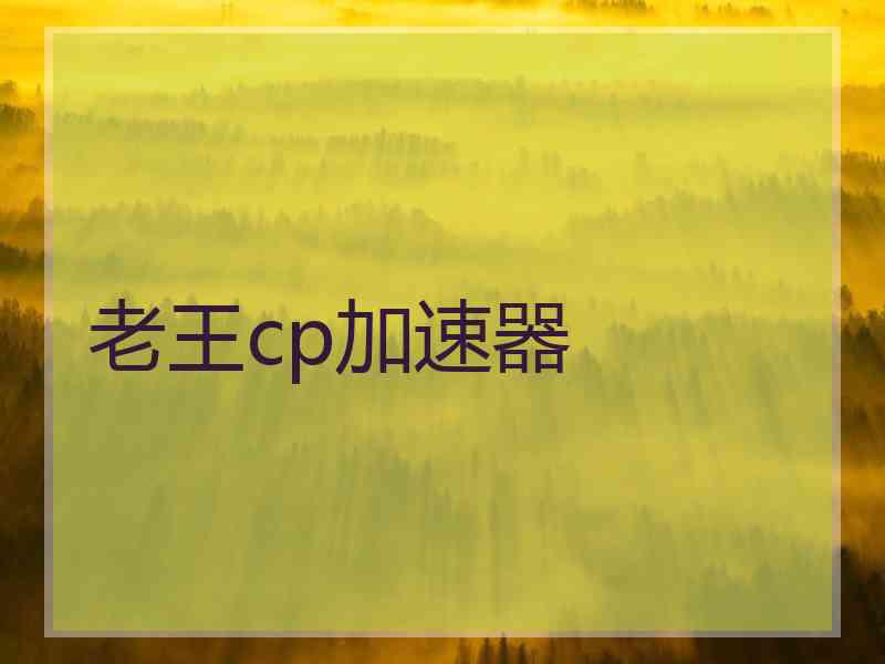 老王cp加速器
