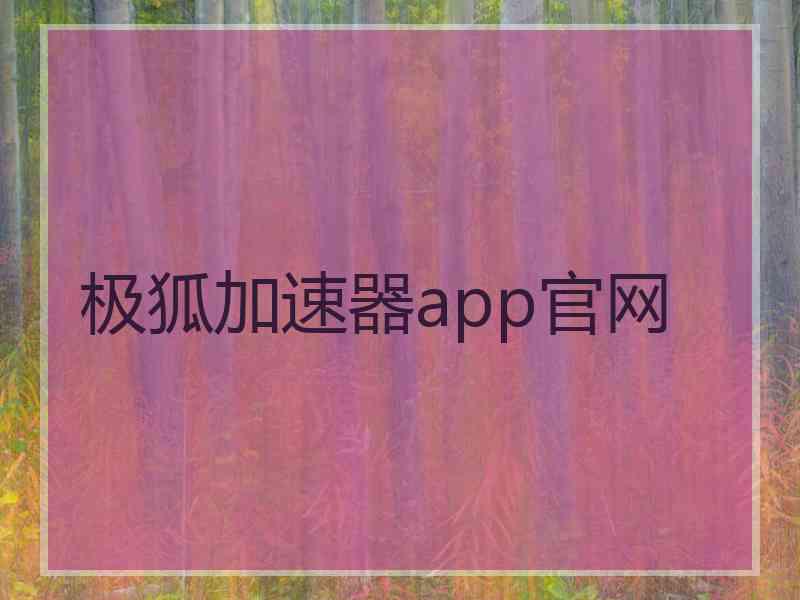 极狐加速器app官网
