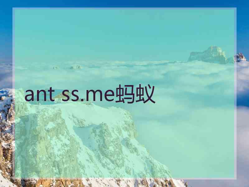 ant ss.me蚂蚁