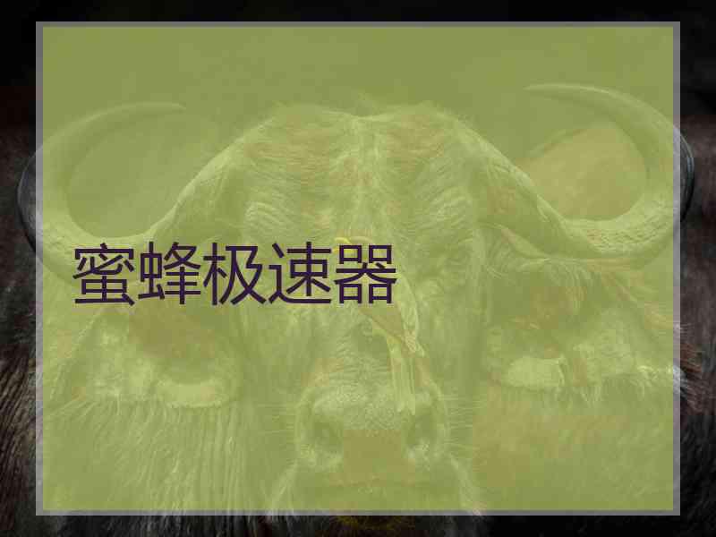 蜜蜂极速器