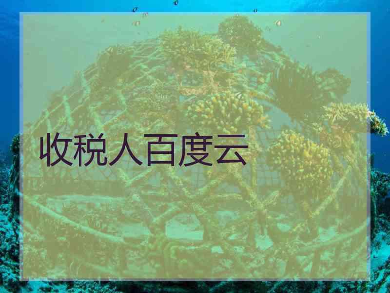收税人百度云
