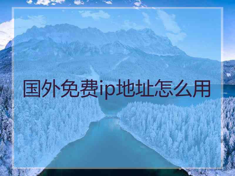 国外免费ip地址怎么用